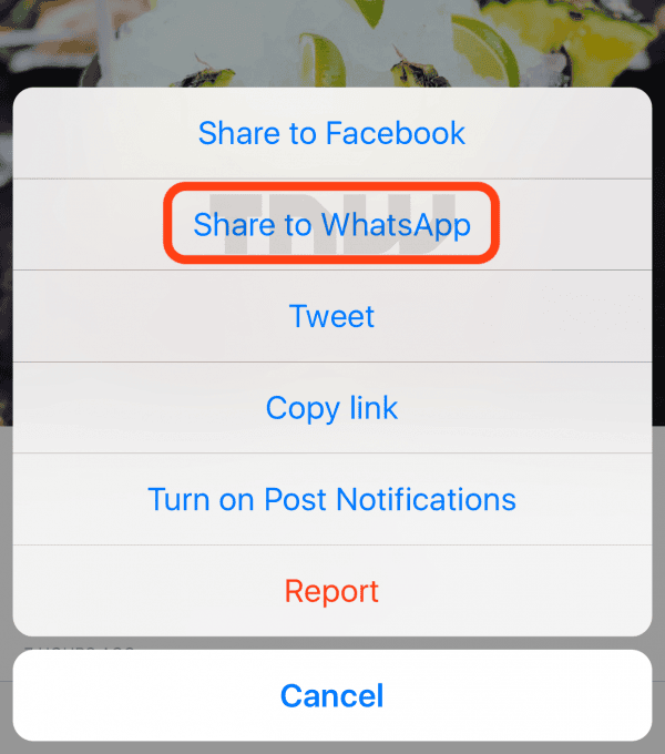 share to whatsapp