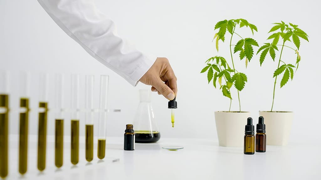 CBD Test
