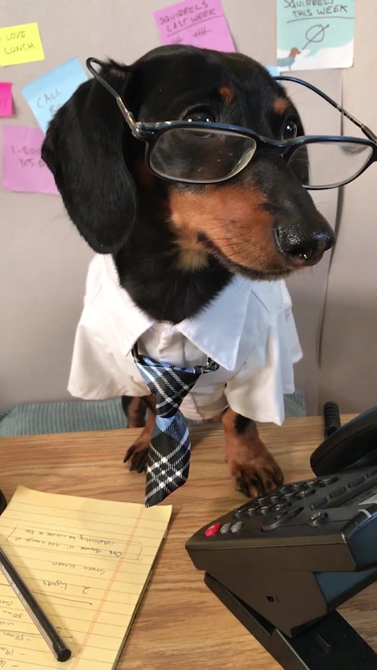 Crusoe