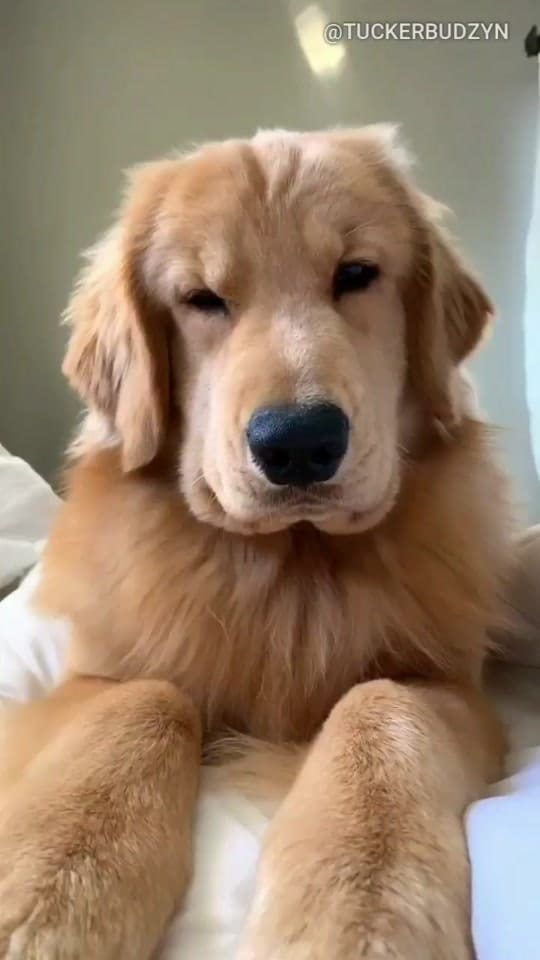 Tucker Budzyn