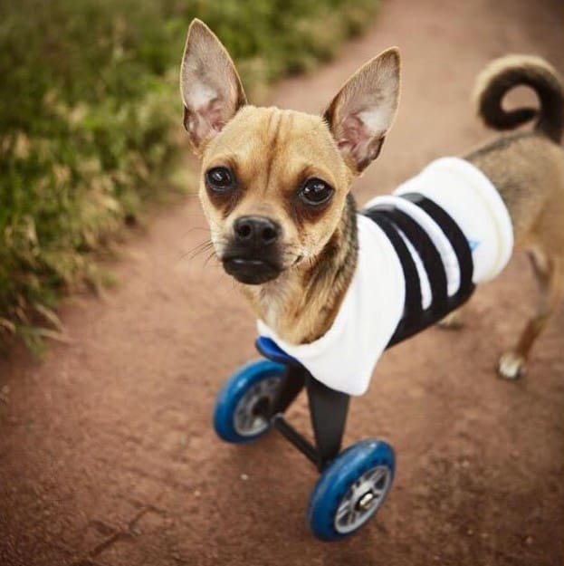 TurboRoo