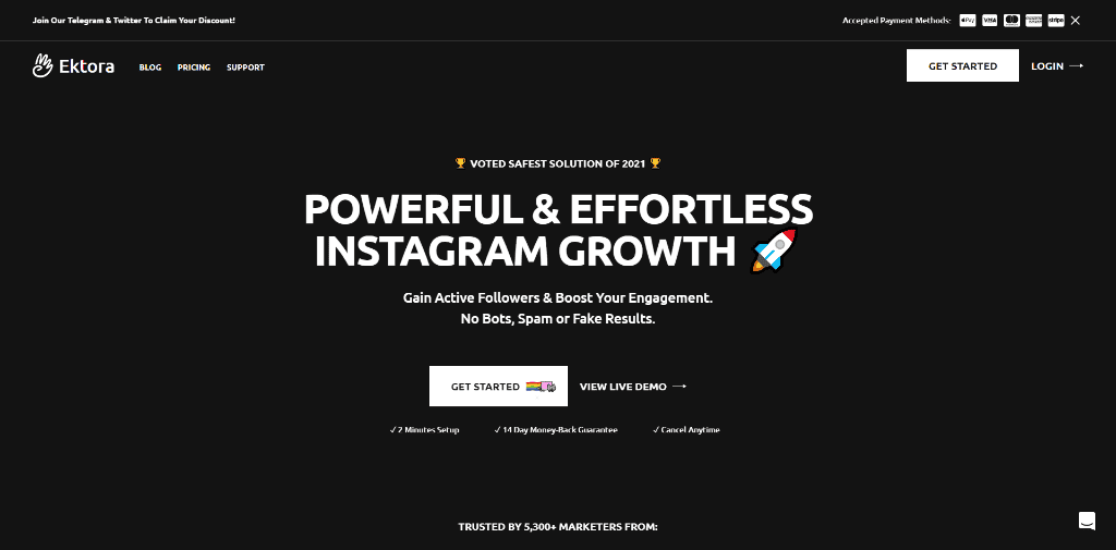 Ektora Review: The Safest Instagram Growth Service?