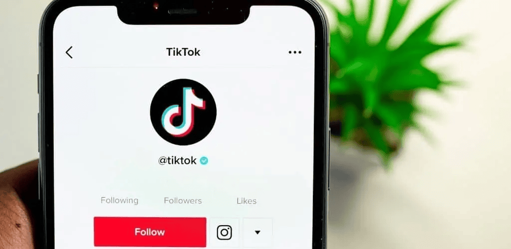 TikTok Engagements