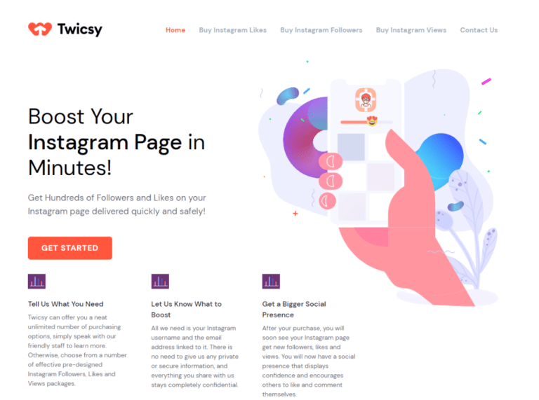 Twicsy Review – Safe and Working?