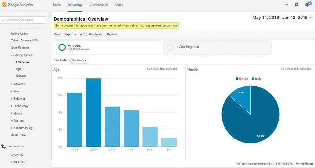 Google Analytics Audience Demographics