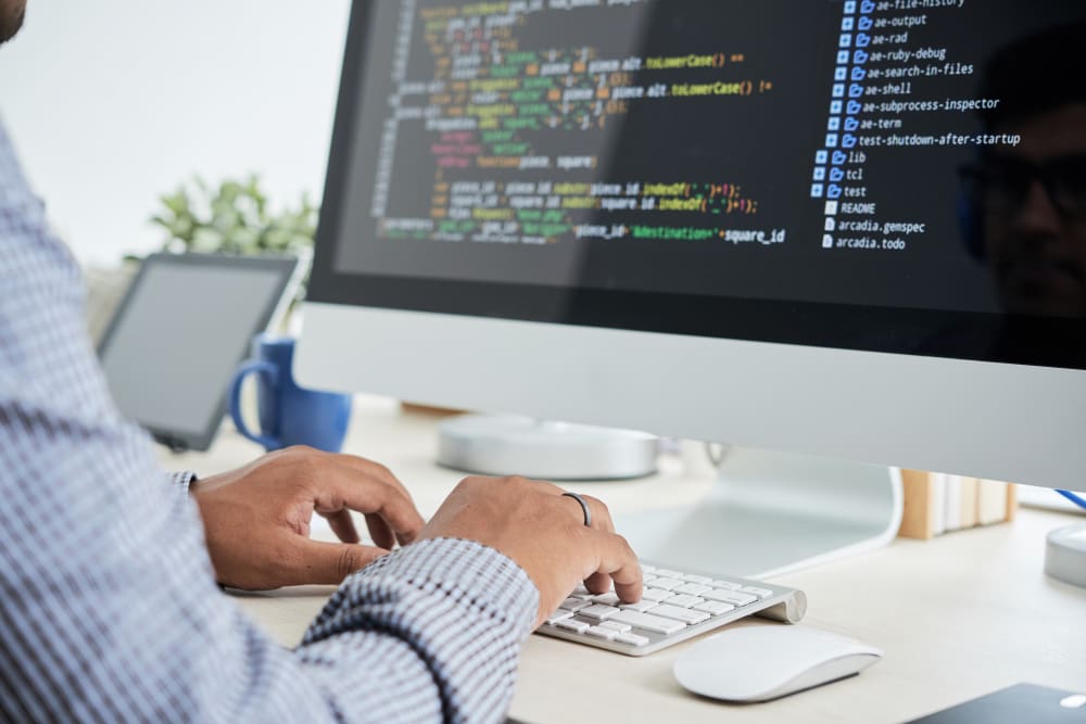 Web and Software Designer